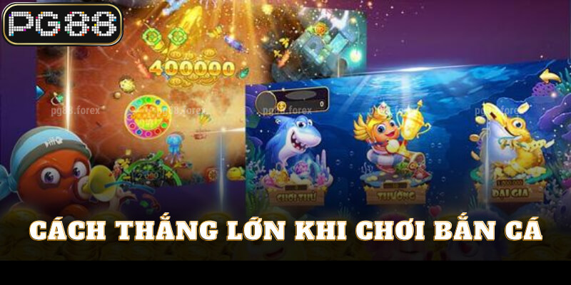 Cách thắng lớn khi chơi bắn cá