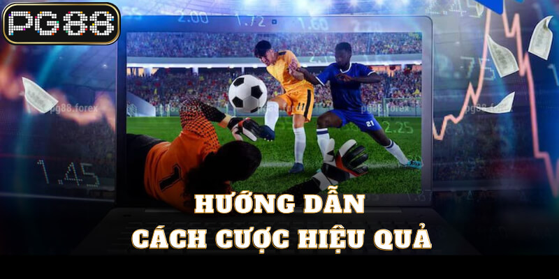 Hướng dẫn cách cược hiệu quả